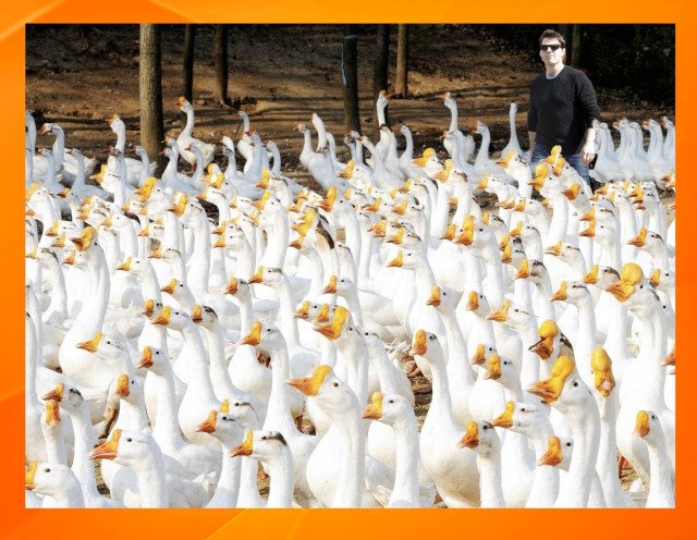 WalkingwithTom10_20_14