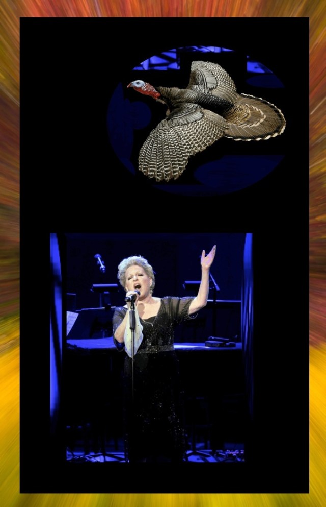 The Wind Beneath My Turkey Wings