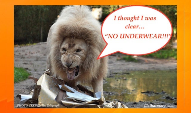 Best Lion Underwear