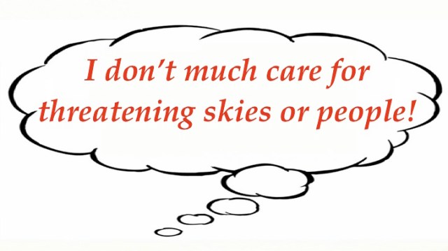 Mary's random 12_9_15