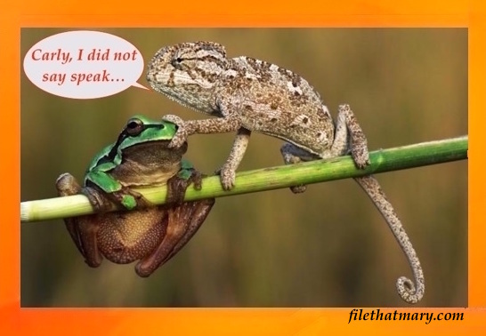 A frustrated Ted copy 2