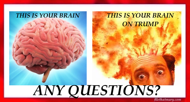 A trump brain