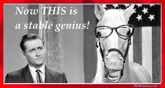 A stable genius