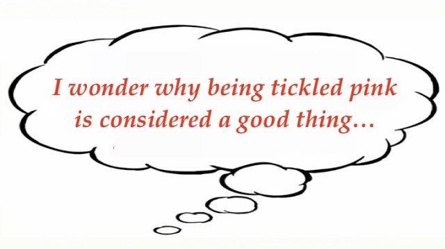 Mary's random 11_30_18 .jpg