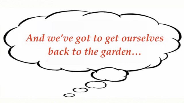 Mary's random 11_4_18