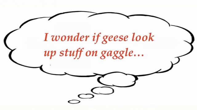 Mary's random 3_14_19