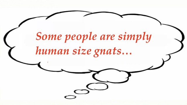 Mary's random 5_25_19