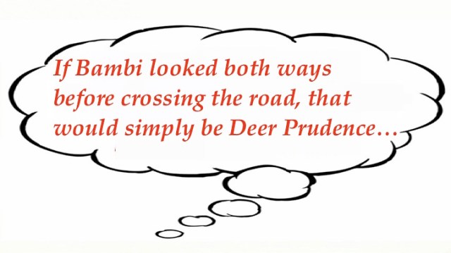 Mary's Random   7_22_19.jpg