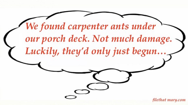 Mary's Random 10_14_19