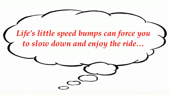 marys-random-11_17_16