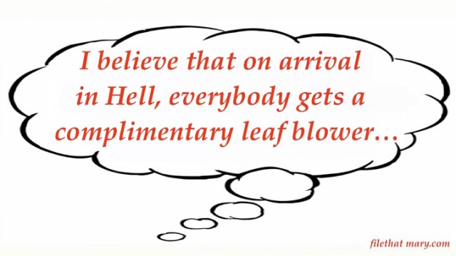 Mary's Random 11_2_19