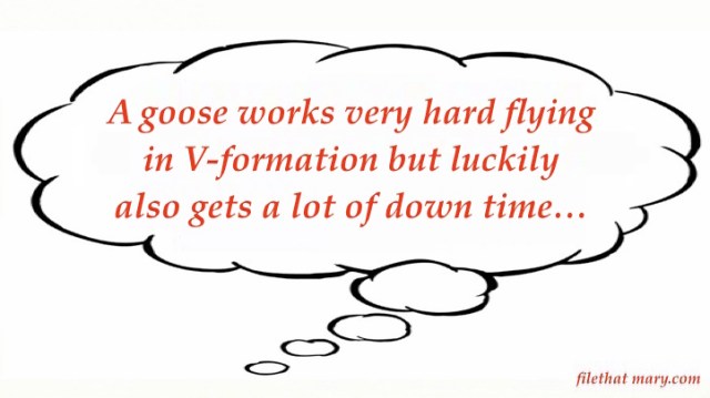 Mary's Random  12_1_19.jpg