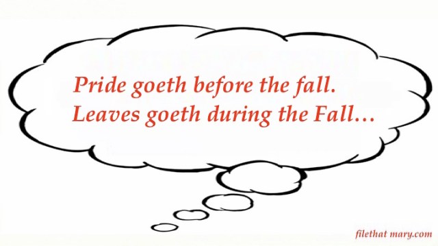 Mary's Random 12_5_19.jpg