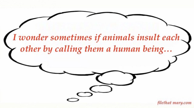 Mary's Random 1_6_20.jpg