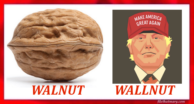 a walnut