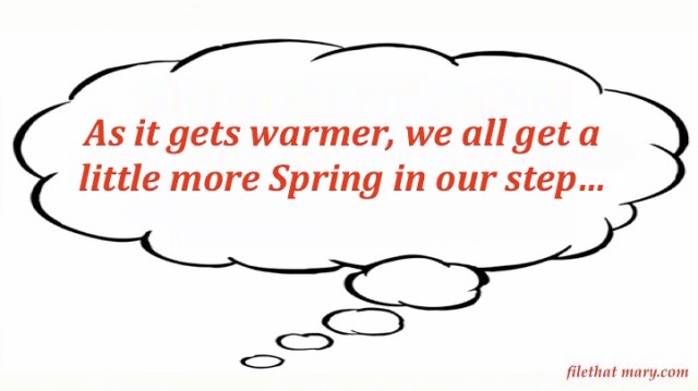 Mary's Random 2_17_20